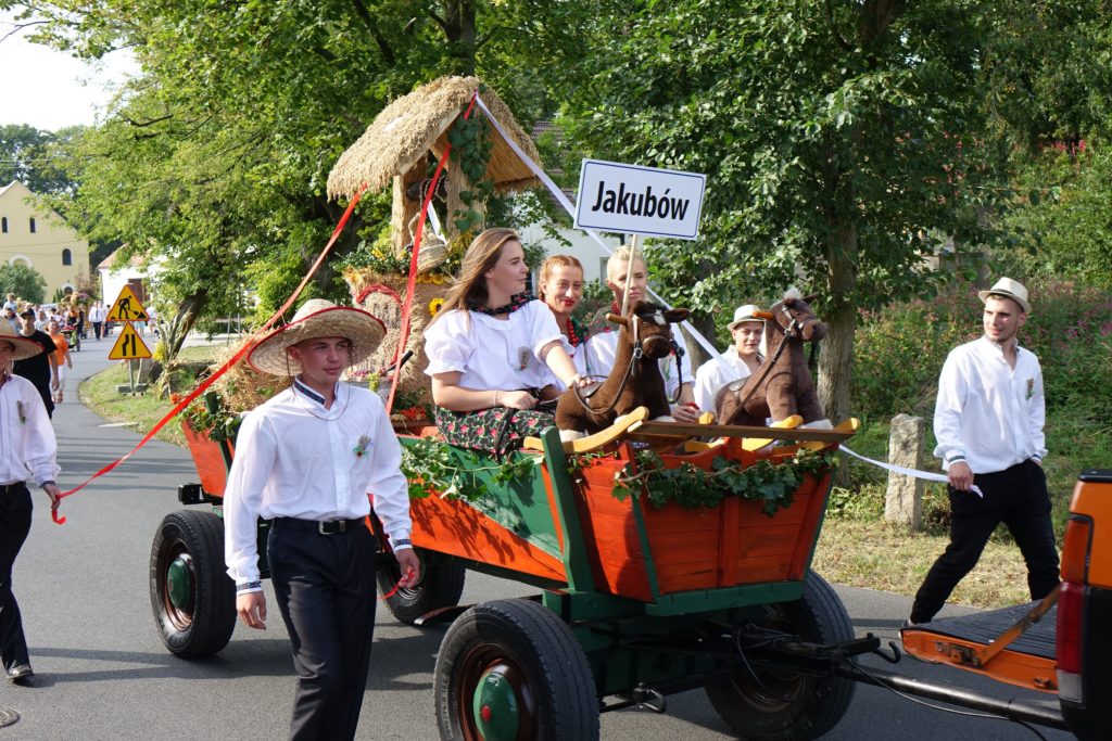 Święto Plonów w Radwanicach - zdjęcie 7