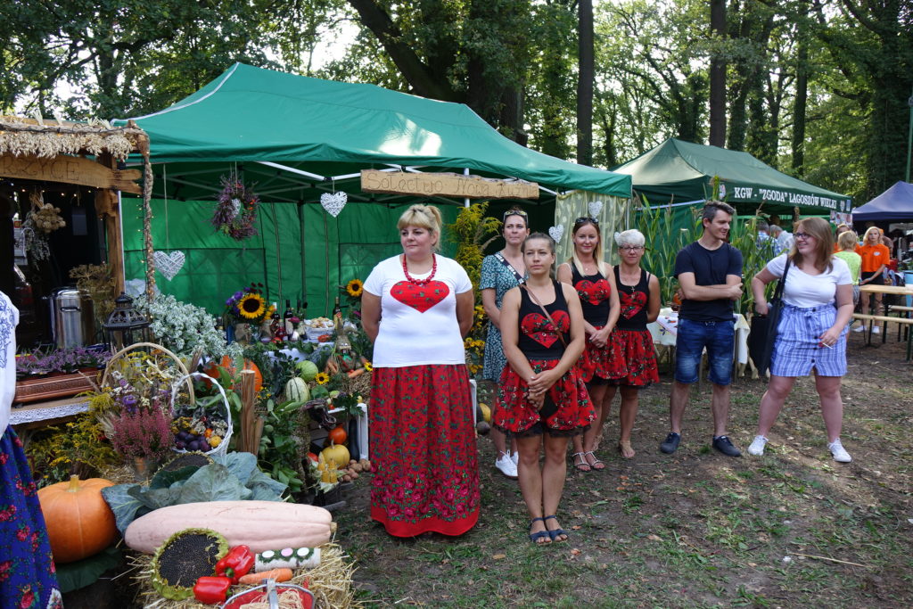 Święto Plonów w Radwanicach - zdjęcie 13