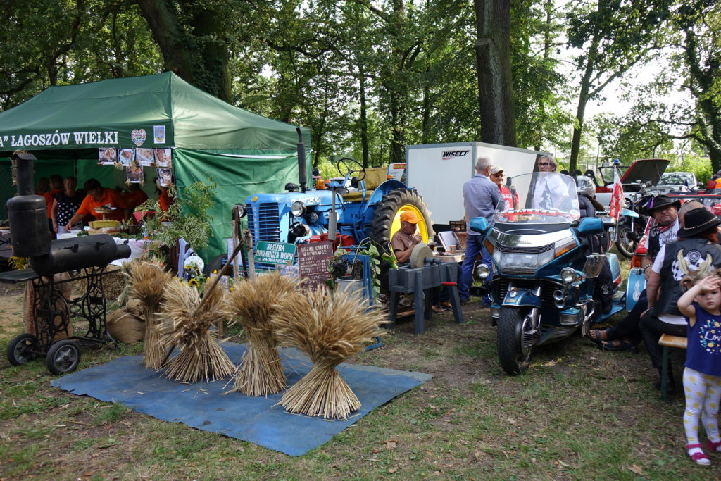 Święto Plonów w Radwanicach - zdjęcie 12