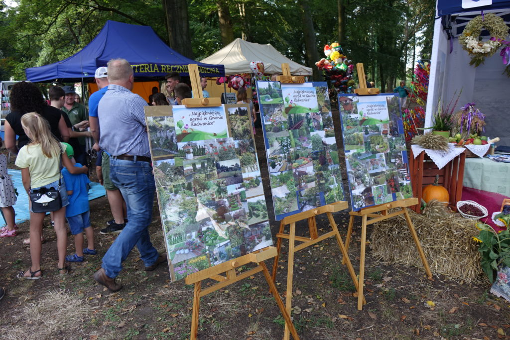 Święto Plonów w Radwanicach - zdjęcie 19