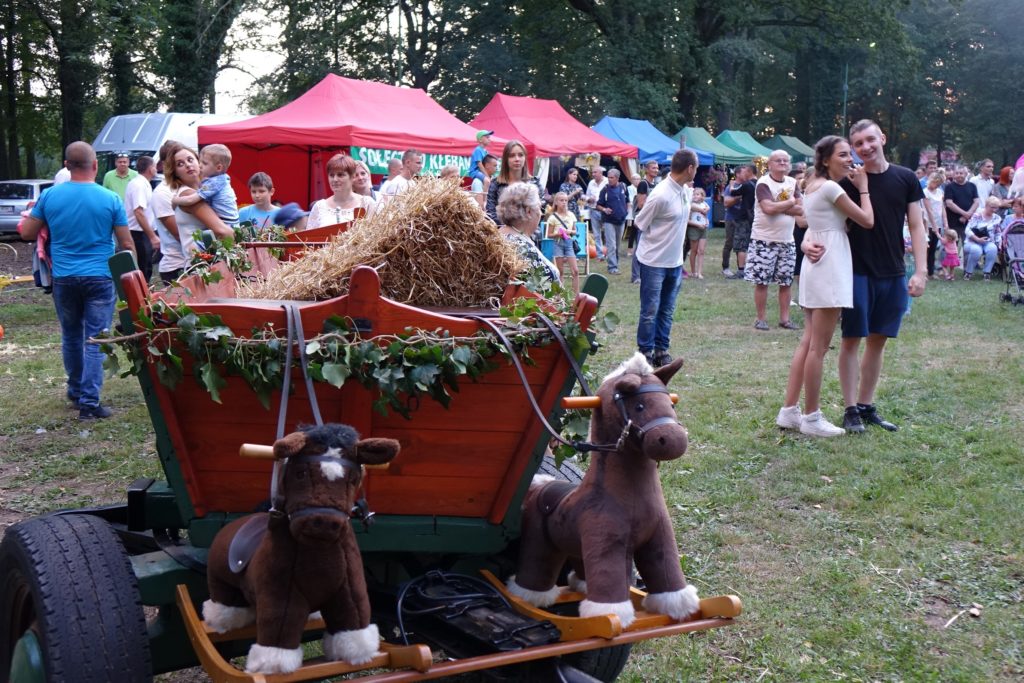 Święto Plonów w Radwanicach - zdjęcie 26