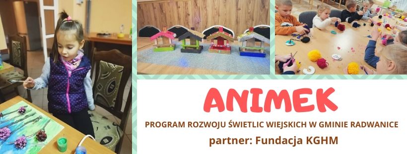 "ANIMEK" program rozwój świetlic wiejskich w Gminie Radwanice - zdjęcie 1