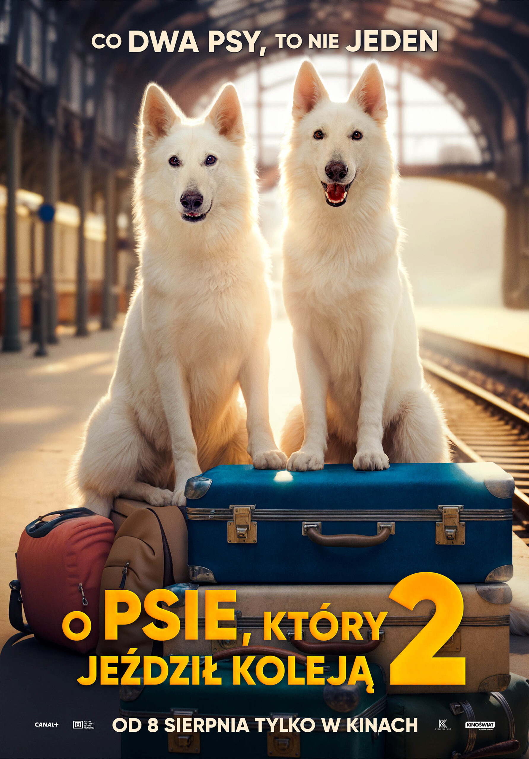 Opis film&oacute;w - zdjęcie 6